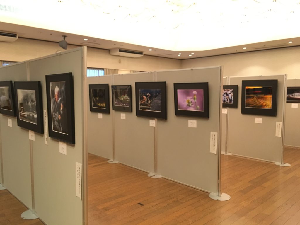 作品展の写真