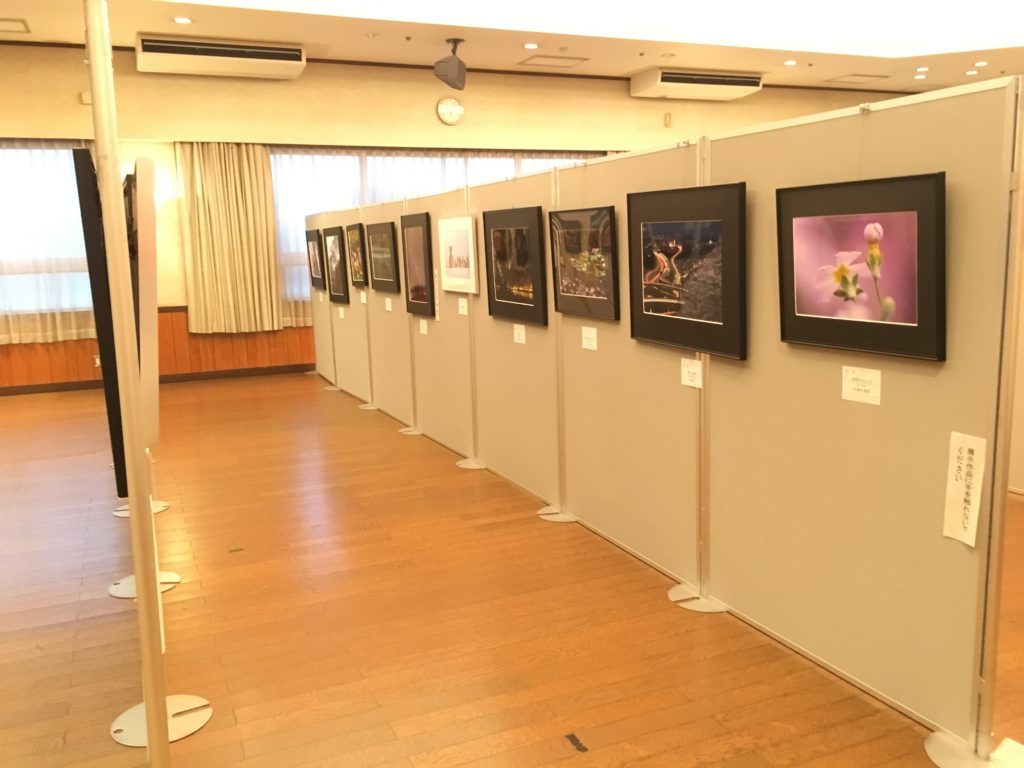 作品展の写真